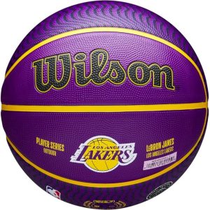 WILSON NBA Player Icon Outdoor Basketball - Size 7-29.5" and Mini Size